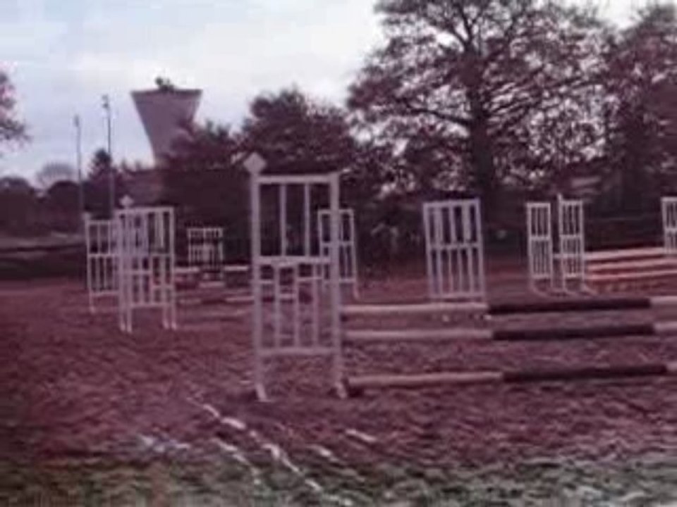 Concours du 22 Novembre à Montmorillon 011