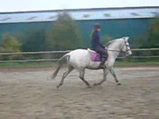 ILOT ED BEAUTE A VENDRE