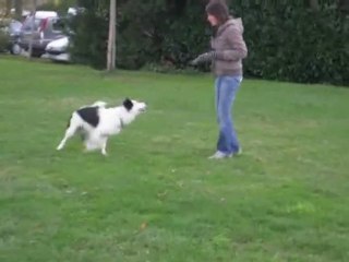 Obérythmée Dakota en extérieur + nouveaux tours