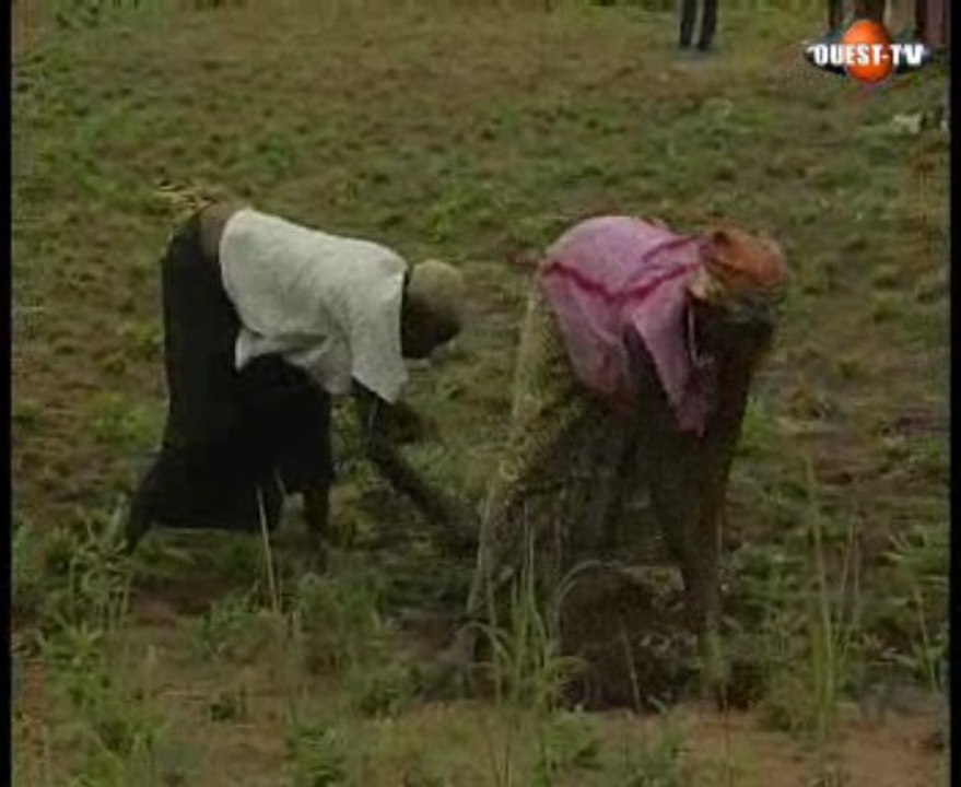 Wari - Dimanche 15 Novembre 2009