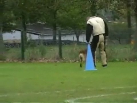 Vexin du domaine de sainte mathilde, concour londiniere 2009