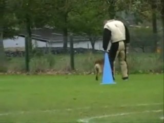 Vexin du domaine de sainte mathilde, concour londiniere 2009