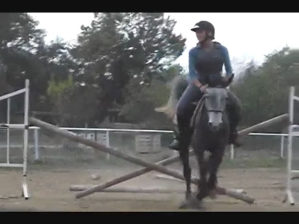 Séance samedi 14 novembre