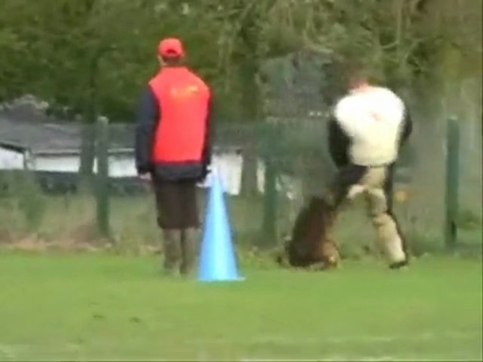 Volcan de la niche du bonheur, concour londiniere 2009
