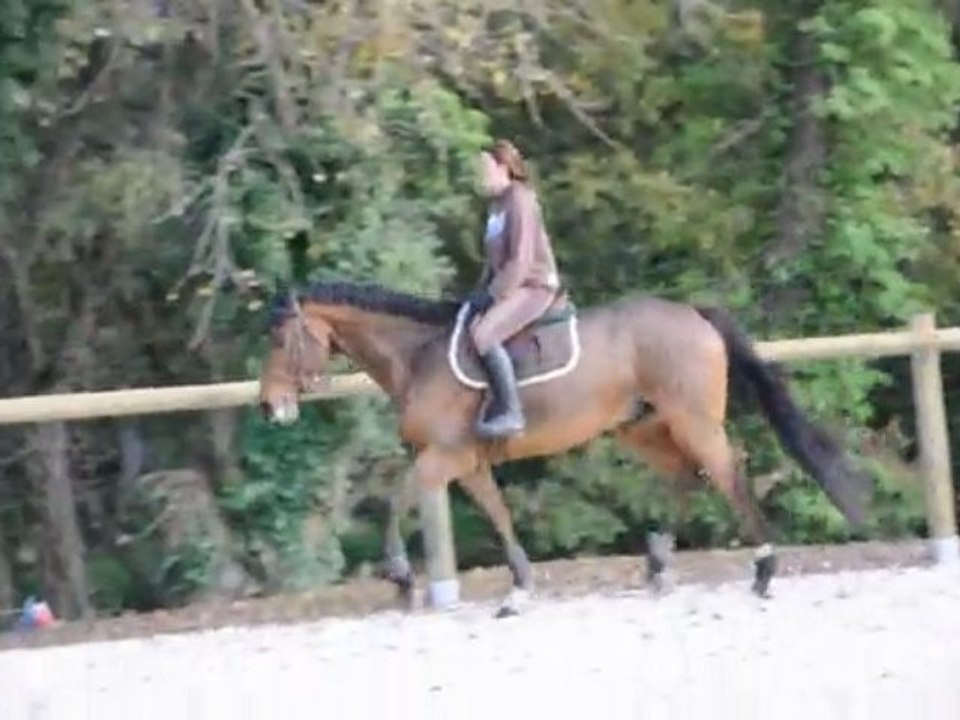 Powel et Isa le 16/11/2009