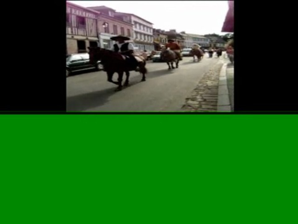 FETE DU CHEVAL2/ DOMAINE DE LORLEAU / 19 sept 2009 part two