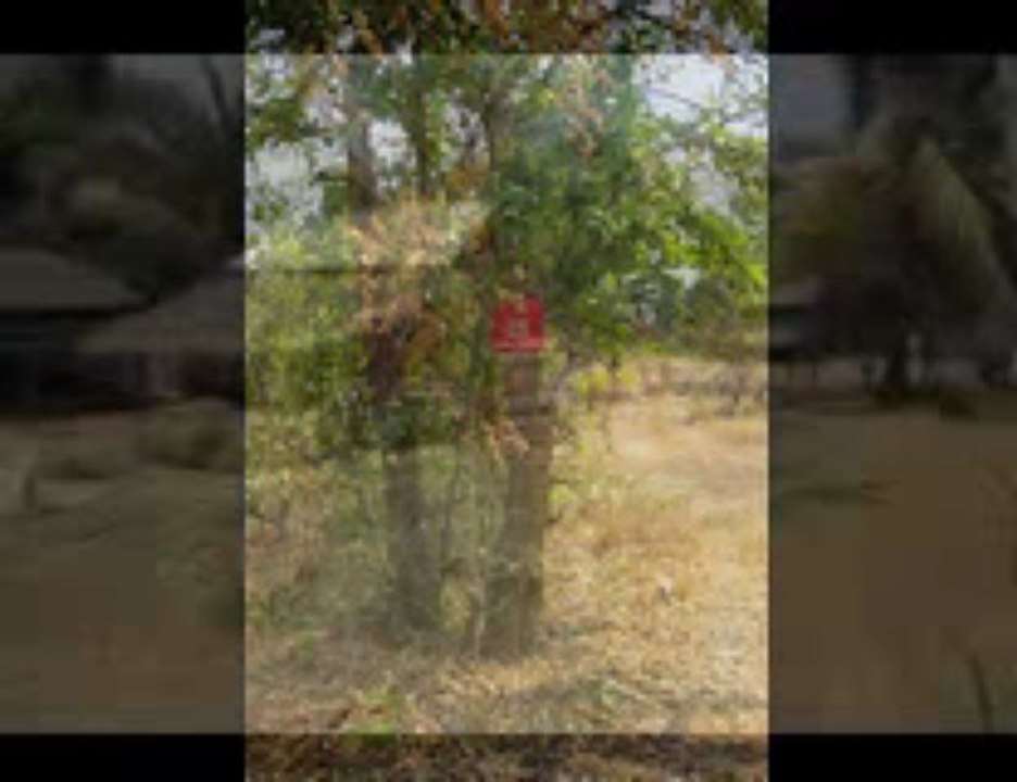 Cambodia Tour Part 1