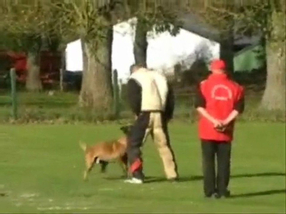 Vasco du domaine de sainte mathilde, concour londiniere 2009