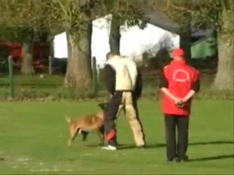 Vasco du domaine de sainte mathilde, concour londiniere 2009