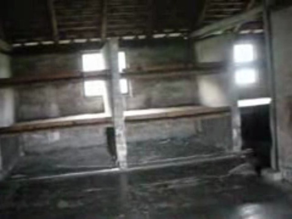 Auschwitz (camps)