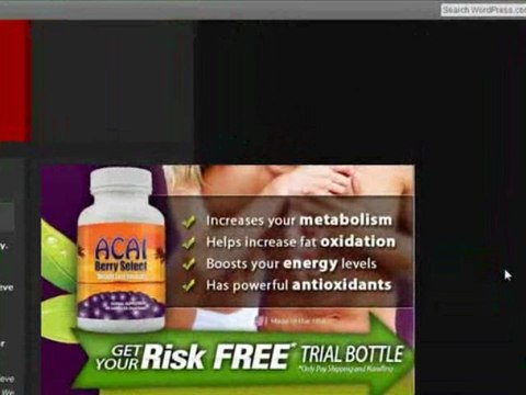 wordpress tutorial 1 make money with a blog