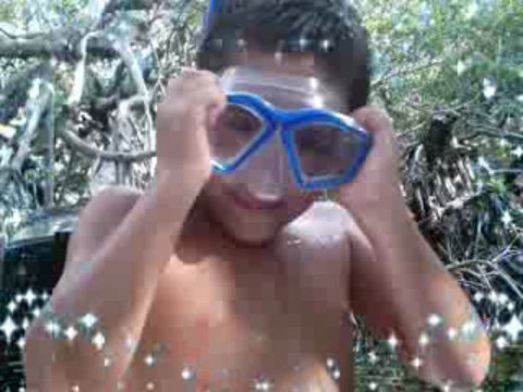 ANCHORAGE RESORT AND YACHT CLUB RESORTS MARINAS FLORIDA KEYS