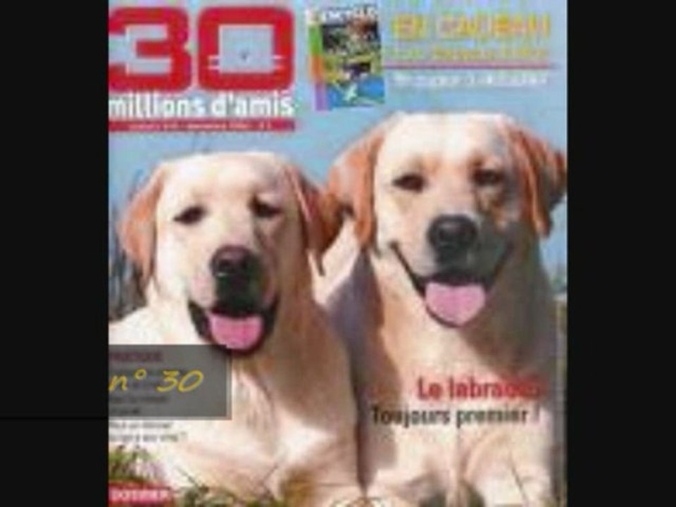 Blind Test n° 4 - Jeux vidéos