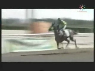 2009.10.31, nº 424 PIN (Real Club Pineda(Hand 2ªp) Eurobetis