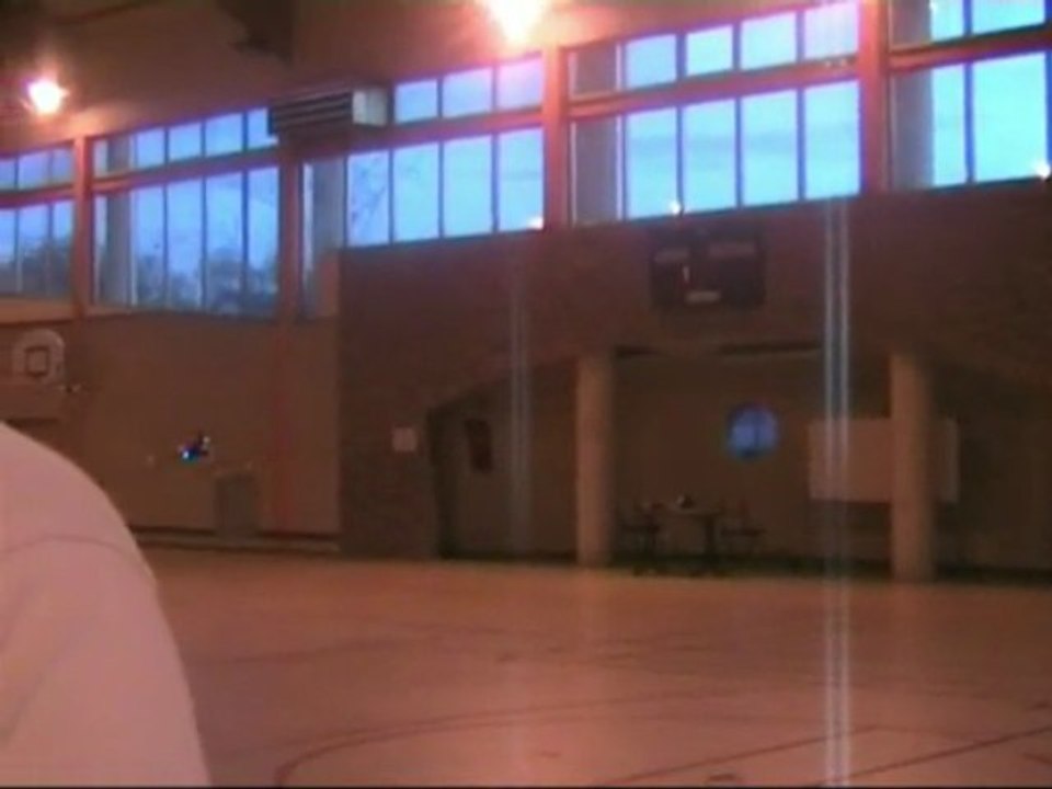 14-11-2009 Débuts en Trex 450 Pro