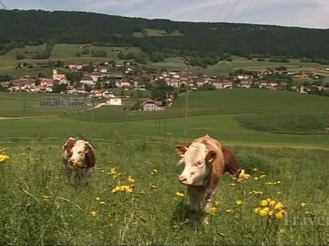 Travers - Val-de-Travers (Suisse)