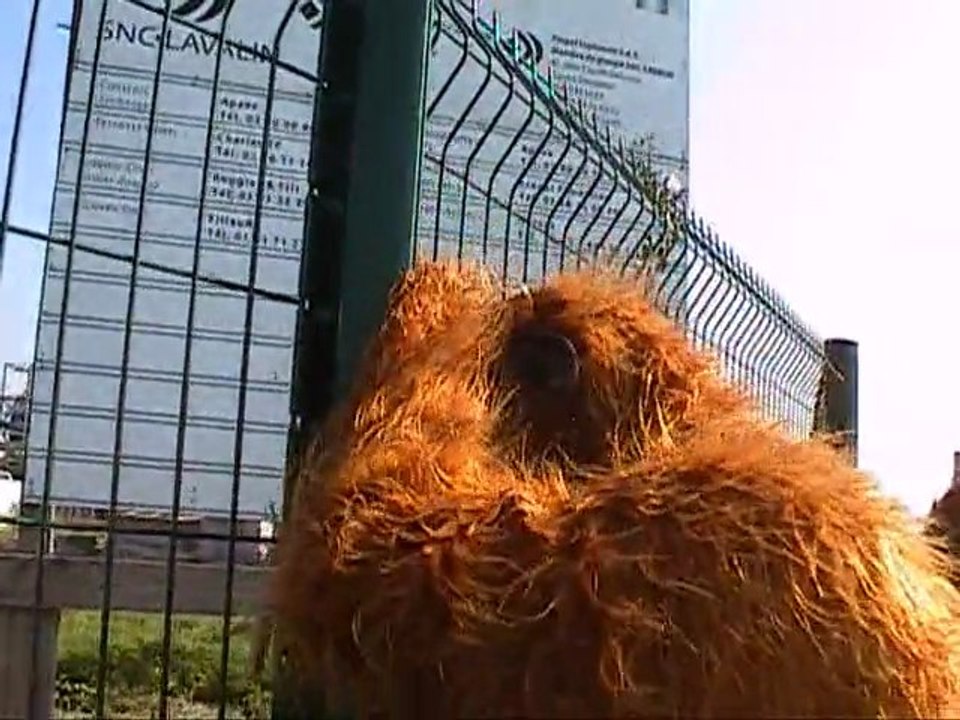 Les rescapés climatiques à Nantes