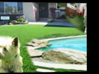 artificial grass suppliers