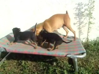 Maya, Enza et Eden - 17 novembre 2009
