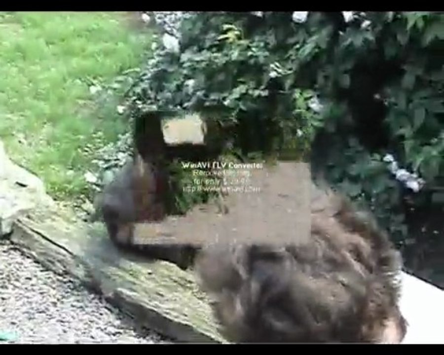ma rencontre avec Catch