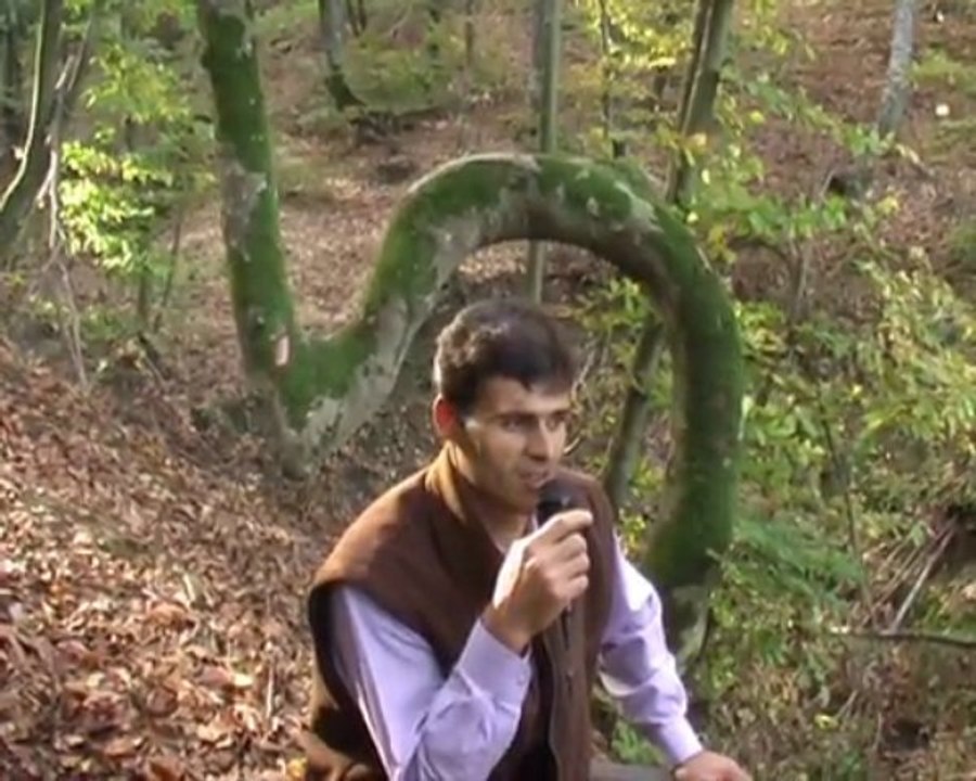 Gönende Rükü Eden Ağaç Keşif Ajans  -CHA