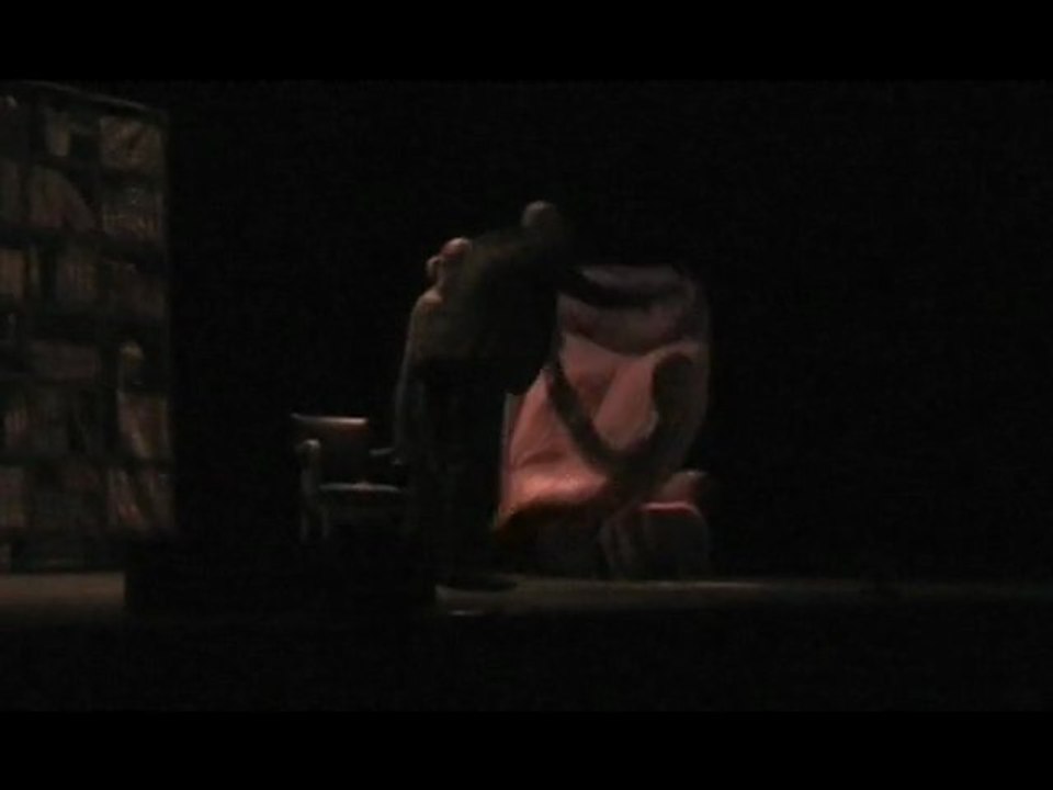 "LE MAL DE MERE" au Festival national Festhéa 2009