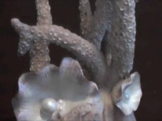 Biorb Coral Sculptures - What They Look Like