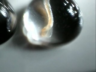 Akvaryumda solucan benzeri canlı.