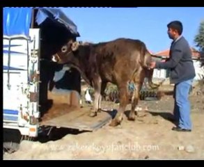 zekere köyü 2009 tanıtım