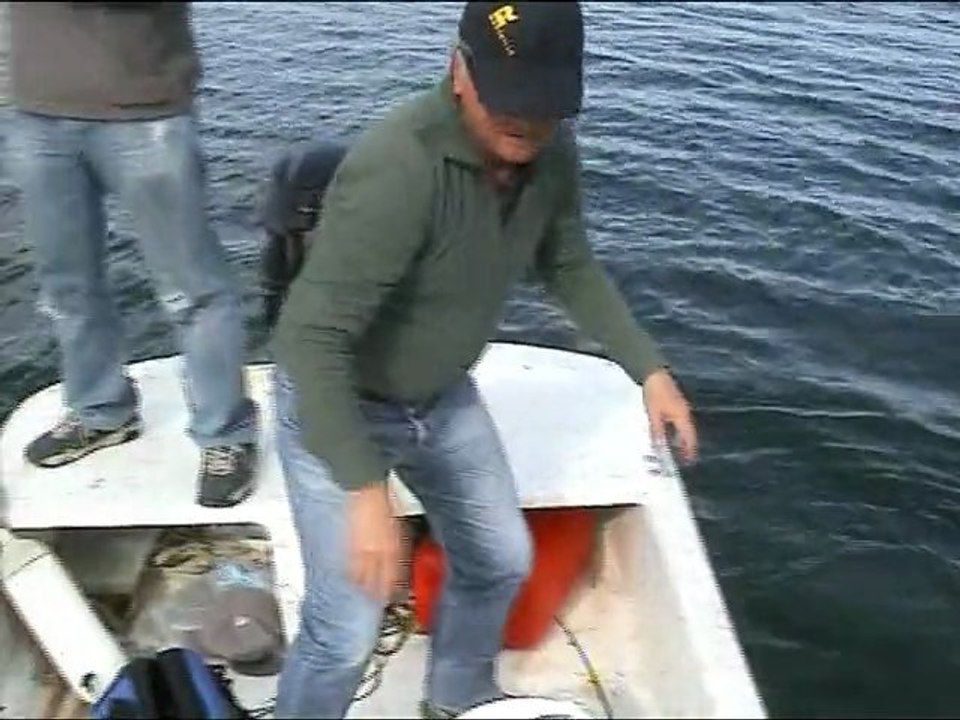 A brochet, à brochet Messieurs, Dames !