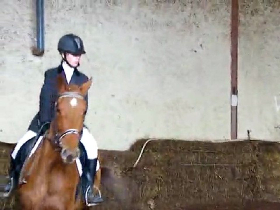 concours dressage ecurie d escazalou