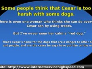 Out of Control Dog? Cesar Millan and National Geographic Cha