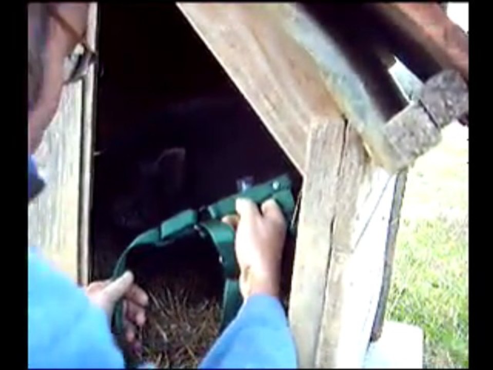 Pipo n'est pas d'accord.