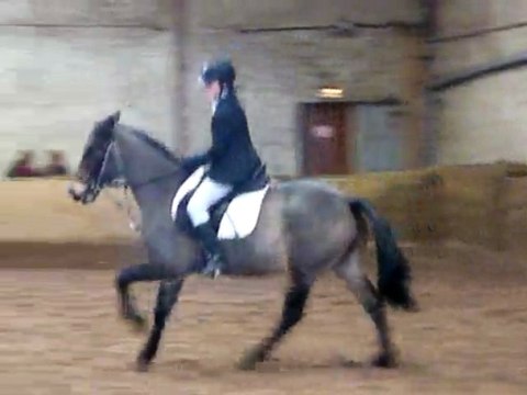 concours dressage ecurie d escazalou