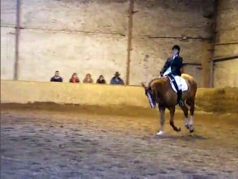 concours dressage ecurie d escazalou
