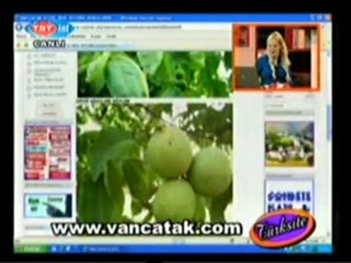 TRT Turksite Programı Haftanın Konuğu VanÇatak.Com