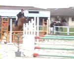 Concours Madine 08 / 11 / 09