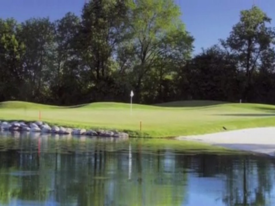 Ann Arbor Real Estate Polo Fields www.KathyToth.com