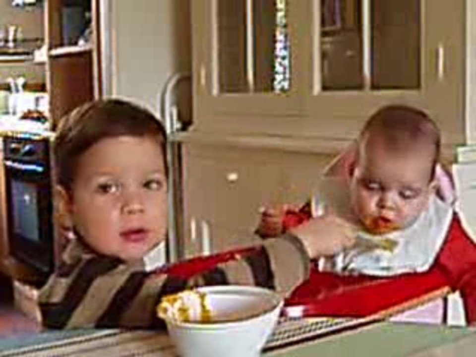 Premières purées de Joshua