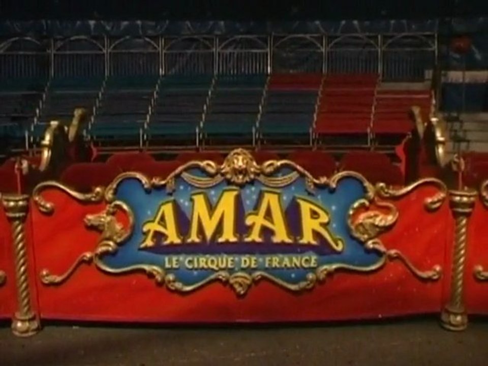 Les tigres blancs du cirque Amar à Nîmes