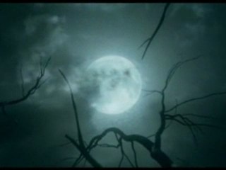 The Wolfman - French Trailer