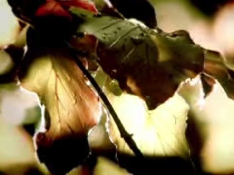 sightseekerMedien - Videomarketing Imagefilme