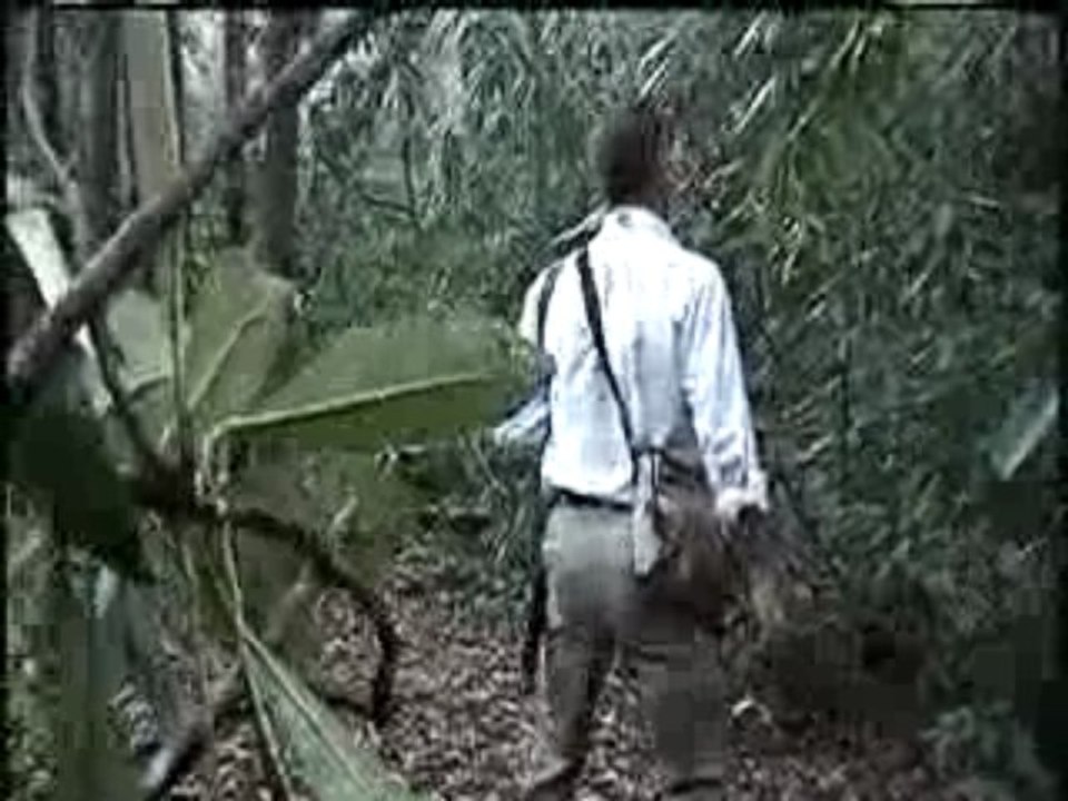 The Man From French Broad River III--Trailer 1