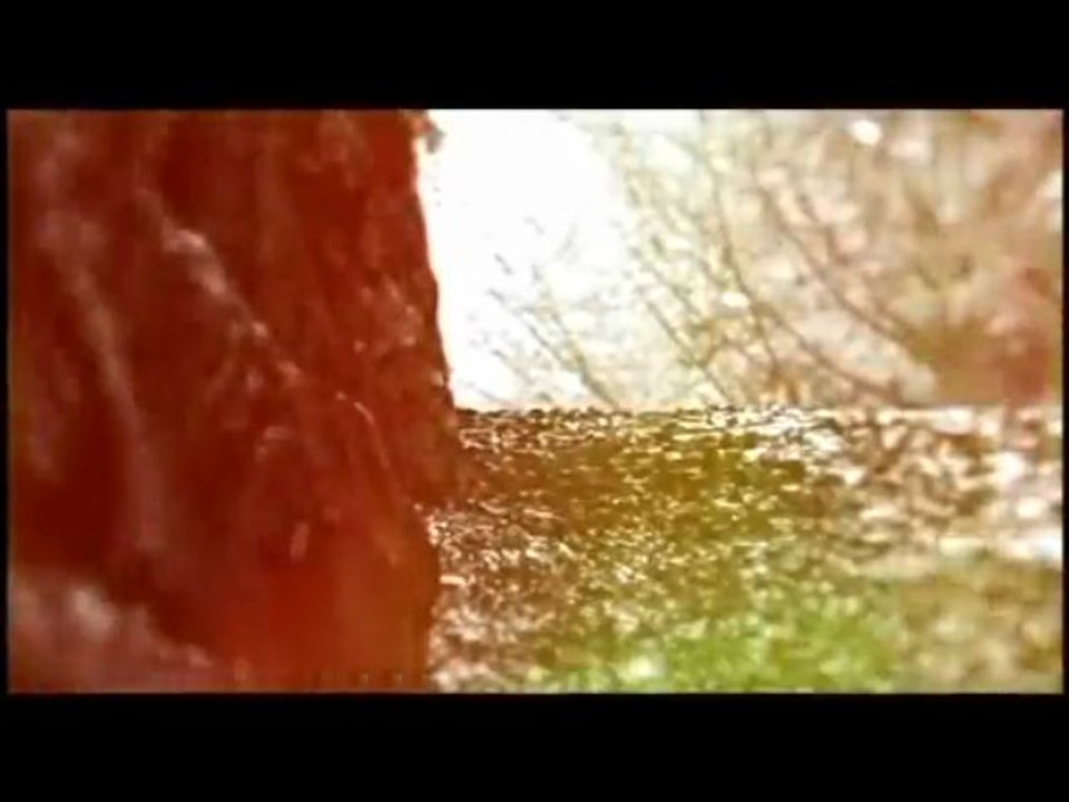 Nell - Part 2