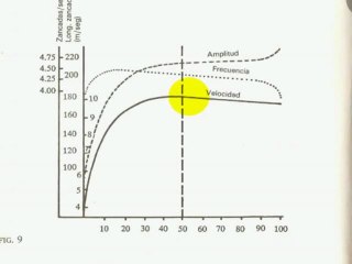 Fisiologia del ejercicio Entrenamiento Deportivo Velocidad 7