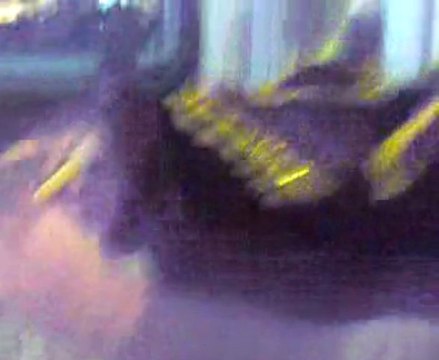 uğur yazıcı Biga da Tulum (Hemsinli Habib2)