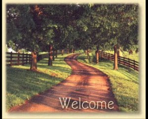 shana,pilasha, paco, figaro and our husky's wolfje en chico