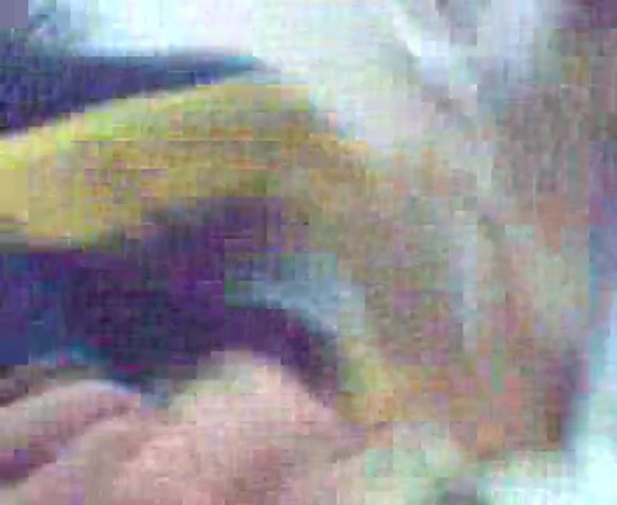 uğur yazıcı Biga da Tulum (Hemsinli Habib7)