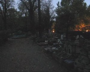 Le cimetière des chiens