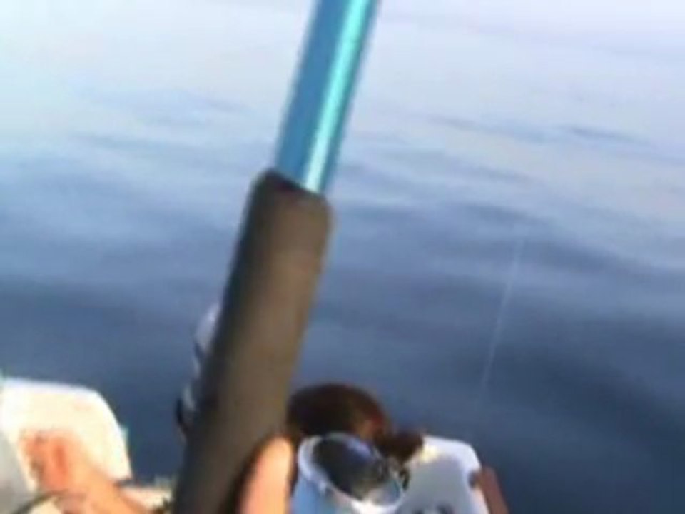 silivri mavi yelken balık avı